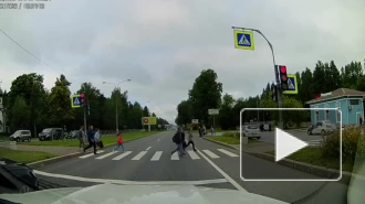 Видео: на пешеходном переходе мотоциклист сбил двух петербуржцев в Репино