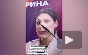 В Петербурге мужчина изрезал предвыборный плакат кандидата в ЗакС Фатьяновой 