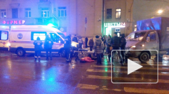 Видео: На Заневском  проспекте сбили пешехода