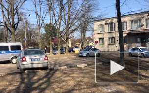 Священники объехали разные части Петербурга с иконой для избавления от коронавируса