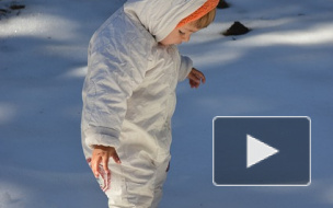 Новости из Крыма: 3-летний малыш пошел в лес за подснежниками и заблудился