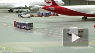 Видео с гигантской змеей в аэропорте шокировало Британию