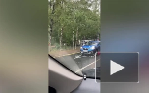 Автобус сбил столбы на Колтушском шоссе