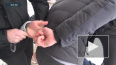 Видео: В Твери задержали членов террористической ячейки