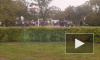 Петербуржцы вышли на митинг в защиту парка Малиновка от застройки 