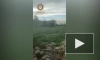 Кадыров заявил об уничтожении до 200 боевиков на Херсонском направлении