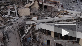 Петербургские архитекторы оценили снос СКК как акт вандализма