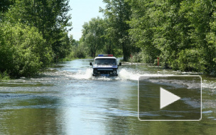 В пригороде Барнаула вода прорвала дамбу и затопила поселок Ильича