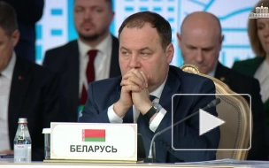 Мишустин заявил, что РФ сосредоточится на продбезопасности во время председательства в ЕАЭС