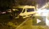 В Петербурге маршрутка с пассажирами врезалась в дерево, в ДТП пострадали четыре человека