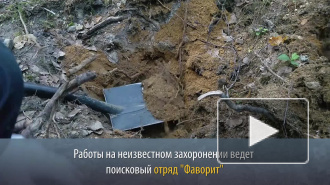 В Выборгском районе поисковики нашли останки 4 красноармейцев