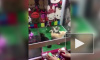Странное видео из Китая: котят посадили в игровой автомат
