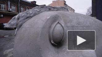 На мусорную площадку в Петербурге принесли голову размером с сам контейнер