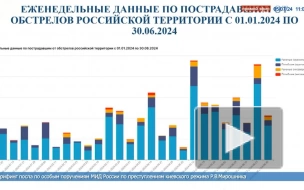 От украинских карателей пострадали 2547 мирных жителей, заявил Мирошник