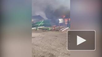В Омской области пожар уничтожил в посёлке пять жилых домов 