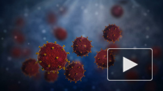 Риска заразиться коронавирусом через посылки из Китая нет