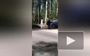Машина влетела в дерево на дороге недалеко от Ольгино 