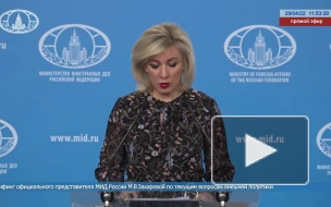 Захарова: Россия расценивает инциденты в Приднестровье как акты терроризма