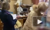 В Красноярске задержана женщина по подозрению в убийстве своего отца и покушении