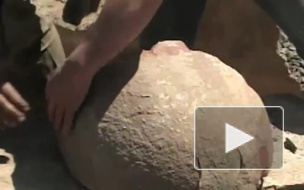 Палеонтолог считает яйца динозавров из Чечни просто камнями