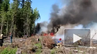 В Югорске ликвидировали лесной пожар