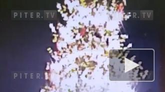 Видео: неизвестный залез на елку на Дворцовой площади