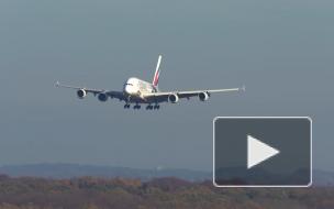 В Лондоне после экстренной посадки самолета арестованы два человека