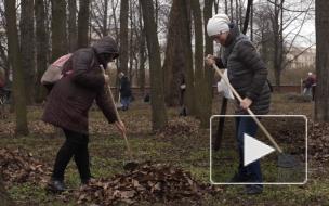 Сотрудники Комитета по строительству Петербурга приняли участие в общегородском субботнике