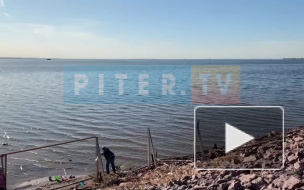 На пляже у улицы Адмирала Черокова заметили отдыхающих петербуржцев