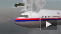 В Голландии подозревают Шойгу в причастности к гибели рейса MH17