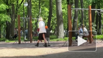В Центральном районе Петербурга прошел социальный эксперимент с похищением детей