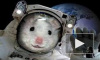 Космонавты-улитки успешно приземлились под Оренбургом