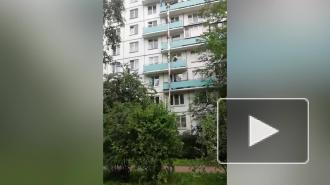 Петербургская "Рапунцель" с Маршала Блюхера нашла способ доставки алкоголя на дом