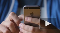 Apple выступила против одинаковой зарядки для всех смартфонов