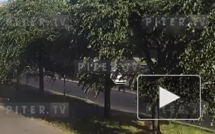 Водитель иномарки насмерть сбил пешехода на улице Типанова