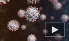 Нобелевский лауреат заявил, что коронавирус могли создать в уханьской лаборатории