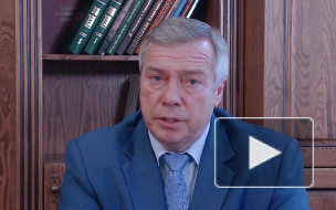 В Ростове анонсировали снятие ограничительных мер
