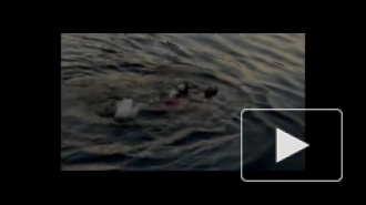 Моряки спорили, доплывет ли девушка до берега Невы 