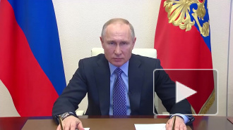 Путин считает, что при коронавирусе необходимо работать дистанционно