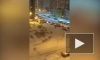 Видео: водителям не выехать со двора у ЖК "Шуваловский"
