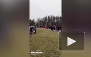 Видео: в Песочном пациенты онкоцентра выстроились в многокилометровую очередь