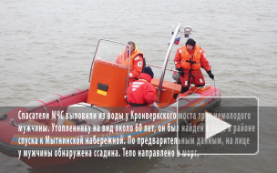 У Кронверкского моста выловили утопленника