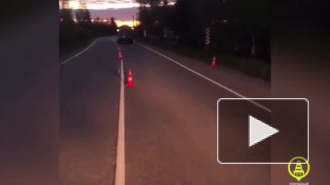 В Ленобласти водитель Kia насмерть сбил девушку и скрылся