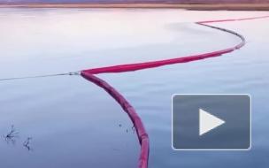 На водоемы Норильска после разлива топлива вернулись птицы