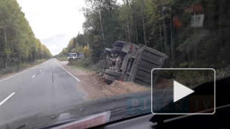 Видео: в Ленобласти перевернулся грузовик 