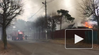 Видео: в Сестрорецке со взрывами сгорел частный дом