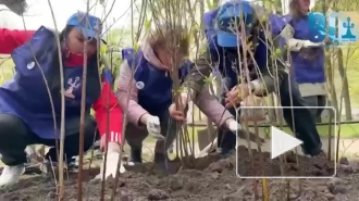 В Александровском саду появилась "Аллея поколений"