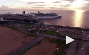 Таможенники защитили Петербург от 9 тонн подозрительных мидий и рыбы