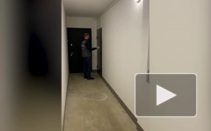 Полицейскими Петербурга задержан подозреваемый в киберпреступлениях