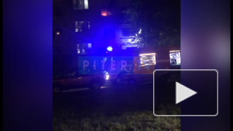 Видео: На проспекте Луначарского сгорела квартира